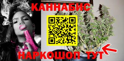 гидропоника Новодвинск