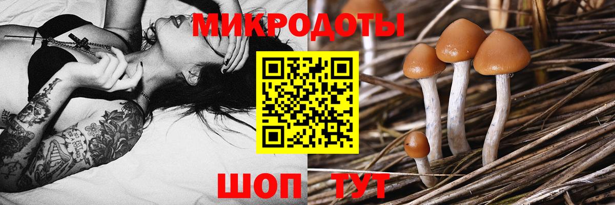 Симферополь  Галлюциногенные грибы Cubensis  Вход с VPN 